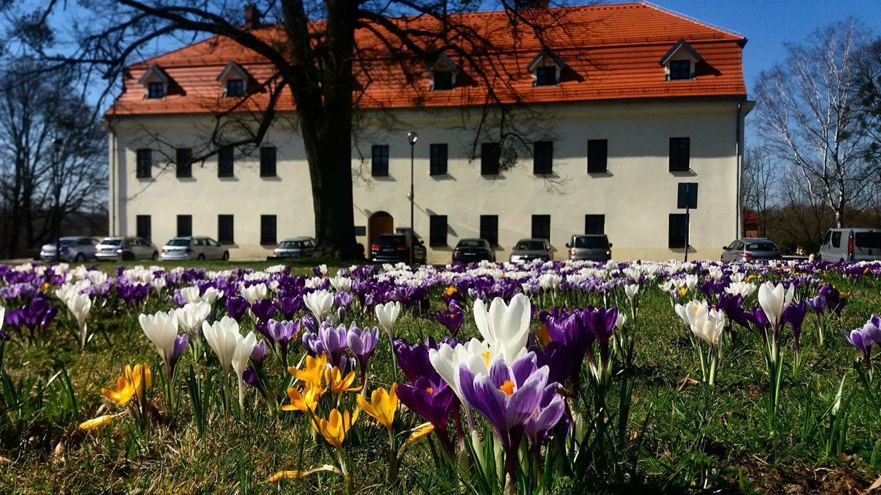 Zamek Havirov Hotel Bagian luar foto